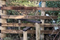 Stile and fence