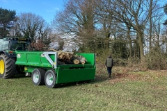 Tree clearance