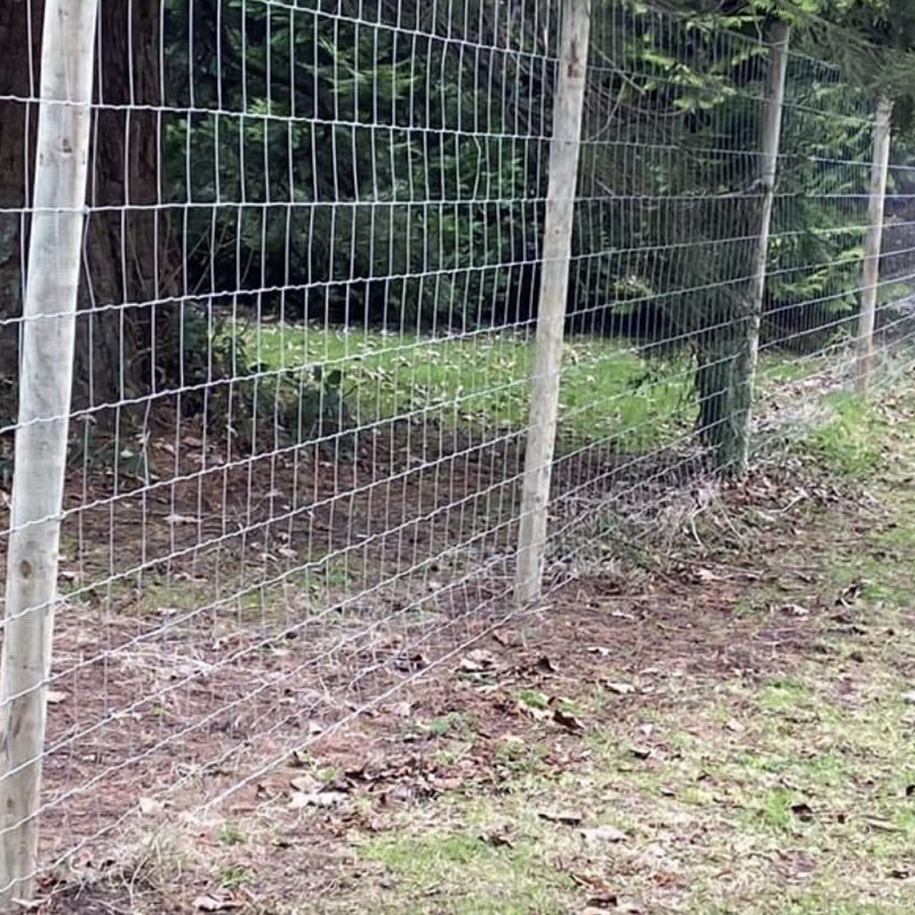 Equine netting