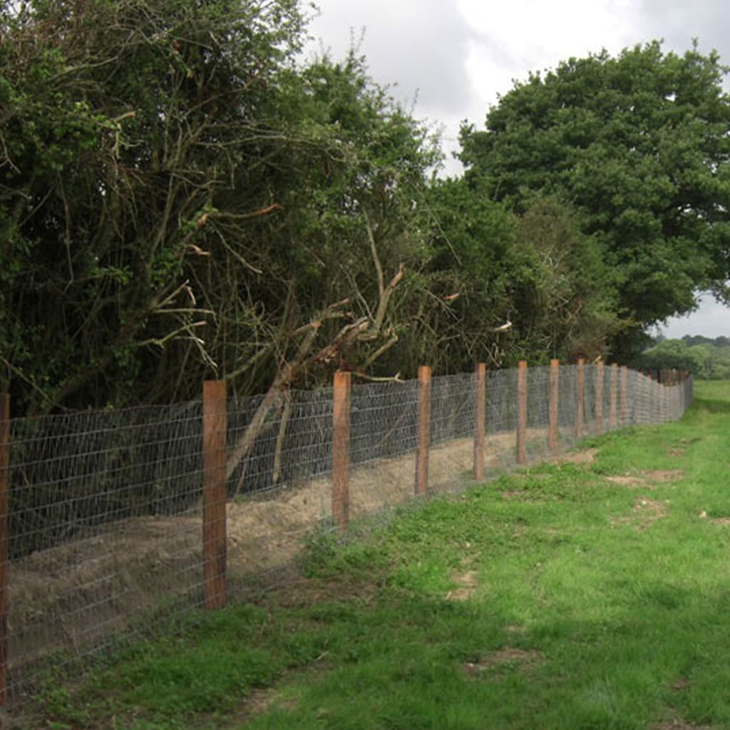 New fence on edge of field