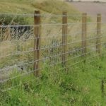 Farm fence