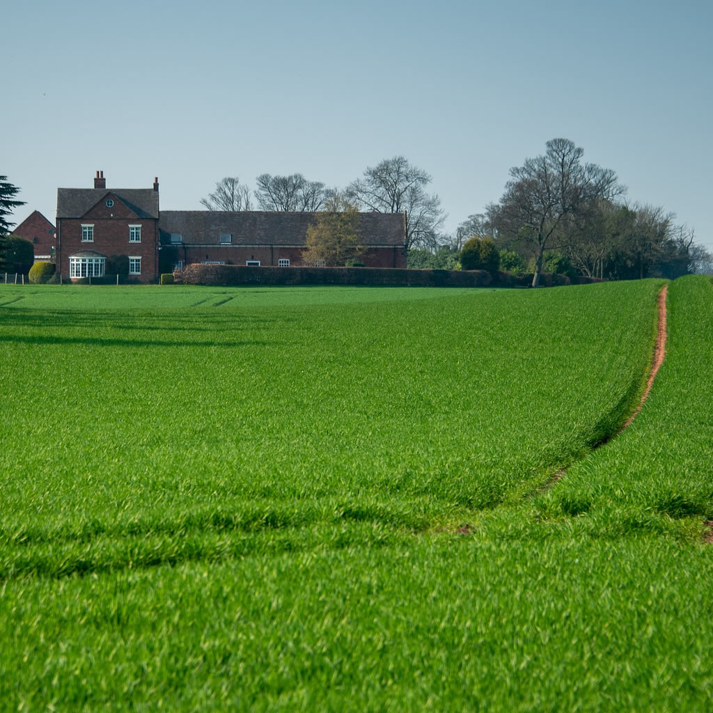 Field and farmhouse