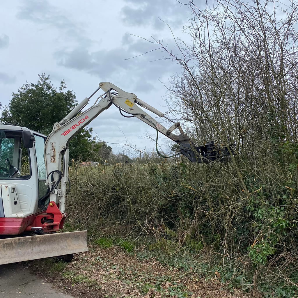 Hedge cutting on roadside