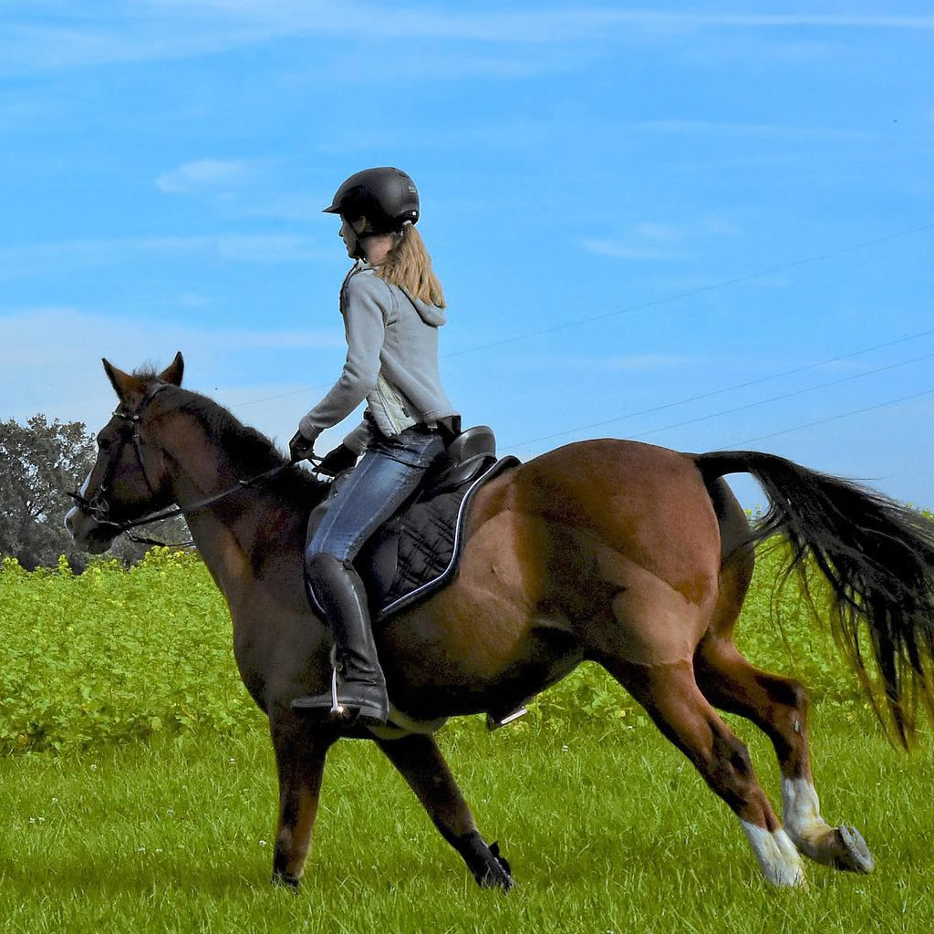 Young woman riding horse